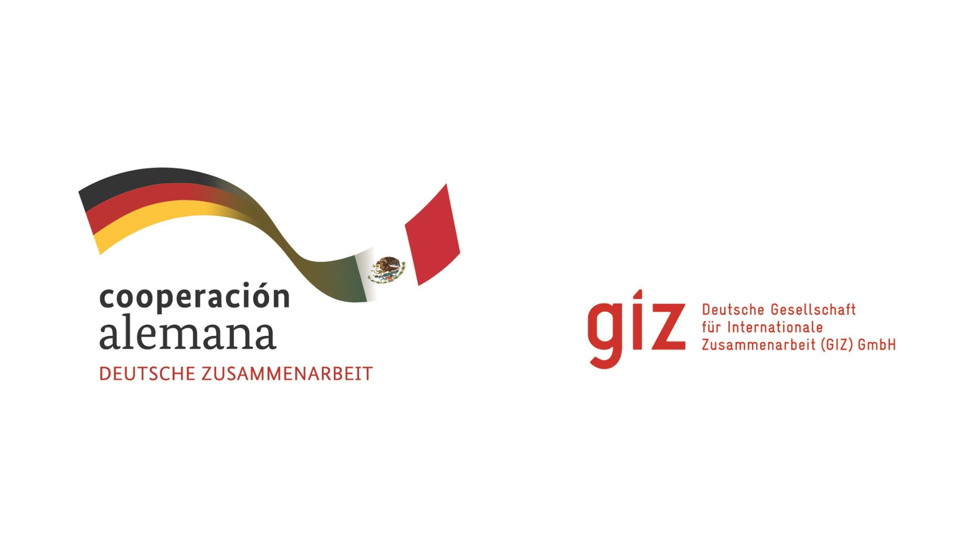 GIZ MExico - Alianzas de la Iniciativa de las ODS en el Tec